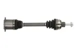 PASCAL G2M019PC