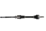 PASCAL Drive Shaft G2P008PC