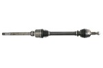 PASCAL G2P083PC