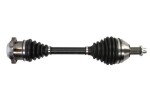 PASCAL G2W079PC