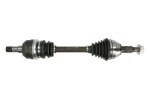 PASCAL G2X031PC