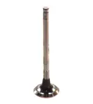 PARADOWSCY PROV002 / exhaust valve (24.1x6x90) fits: land rover freelander i, rover 100, 100 / metro, 200 ii, 25 i, 400 ii, 45 i, streetwise 1.4/1.8 10.89-10.06