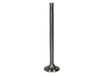 PARADOWSCY PSCA017 / exhaust valve (41x10x171.5mm) fits: scania gi, irizar pb, k, omniexpress, pi, ri dc09.108-dc9.39 04.04-
