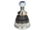 TEN CAR S080TC / hinge right/left (upper) fits: dodge durango, jeep grand cherokee, grand cherokee iv 3.0d-6.4 01.14-