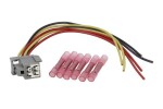 SENCOM 20694 / electric wires for rear lights (200mm, number of terminals: 6) fits: ford transit custom v362, transit v363 2.0d/2.0dh/2.2d 08.13-