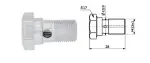bolt pidurivoolikule - 12X1/28/S17 / seibidega copper/