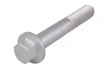 TEDGUM Screw TED13753
