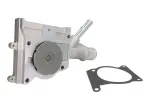 DNJ WP4039 / water pump, with gasket fits: ford usa focus zx3 2.0 01.00-12.04