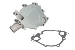 DNJ WP4113 / water pump, with gasket fits: ford usa f-150, f-250 5.8 10.88-09.96